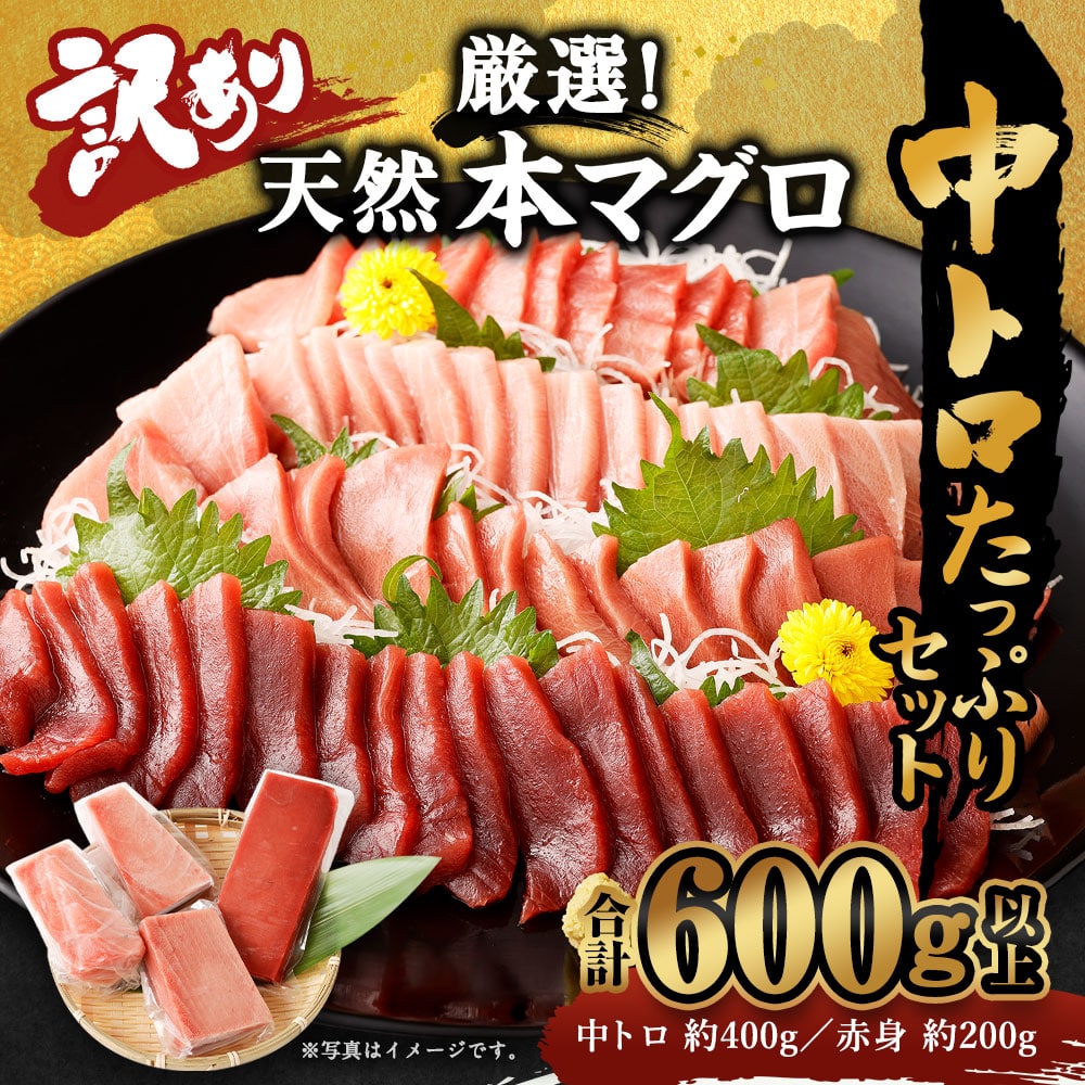 船元が直送! 厳選 天然 本マグロ 中トロたっぷりセット 約600g | 中トロ 400g 赤身 200g | 本鮪 本まぐろ クロマグロ 魚 惣菜 まぐろ ワケアリ わけあり 訳あり 中とろ あかみ 刺身 さしみ 刺し身 冷凍 漬け 海鮮 丼 父の日 高知県 室戸市 [ge005]