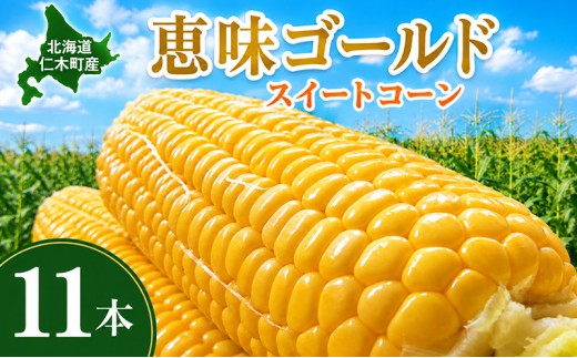 
            北海道 仁木町産 とうもろこし 恵味ゴールド スイートコーン 11本 セット
          
