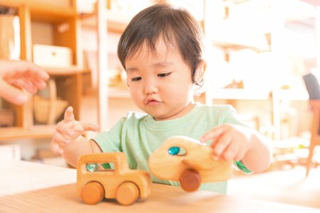 【木のおもちゃ】ひこうき 受注生産品