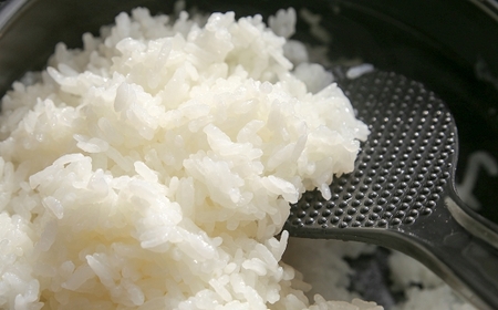 【令和7年産】難関突破達成米 白米 5kg×2 精米 熊本県 南関町産 単一原料米 ヒノヒカリ 産地直送 コメ お米 祈願米