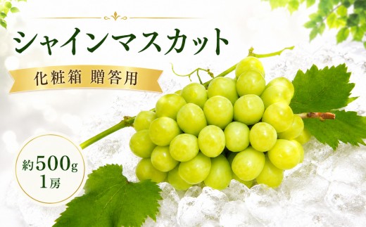 【先行予約】 パリッと甘い！ シャインマスカット 約500g 1房 化粧箱 贈答用 冷蔵 マスカット ぶどう 葡萄 ブドウ フルーツ 果物 くだもの デザート 果実 美味しい 人気果物 人気フルーツ 旬のフルーツ 旬の果物 瀬戸内 果汁 フルーツ デザート 果実 青果 甘い 季節 国産 ふるさと納税マスカット ふるさと納税ぶどう 香川県 丸亀市