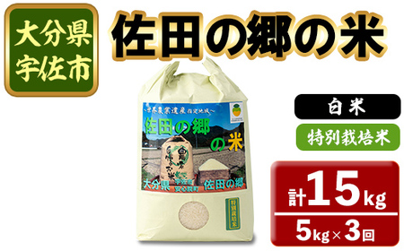 ＜定期便・総３回＞＜令和7年産＞佐田の郷の米 特別栽培米(計15kg)お米 白米 ごはん ヒノヒカリ ひのひかり ブランド米 常温 常温保存【211700700】【雅設置プロジェクト　佐田の郷の会】