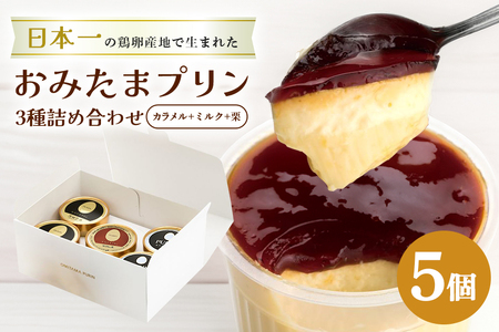 おみたまプリン3種詰合せ 5個入り カラメル＆ミルク＆栗 白箱 プリン 国産 茨城 8-U