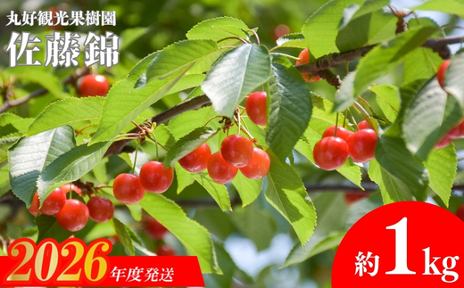 No.2715 さくらんぼ「佐藤錦」約1kg（Lサイズ）【2026年発送】