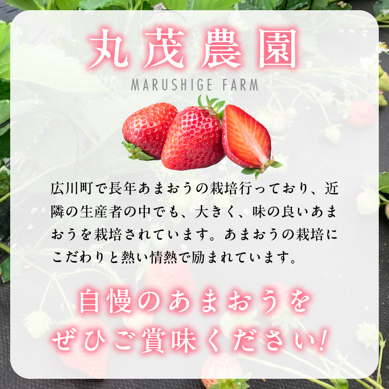 【2026年2月より順次発送】丸茂農園の福岡県産あまおう_丸茂農園の福岡県産あまおう いちご スイーツ 果物 デザート フルーツ 食べ方いろいろ ヨーグルト アイス ジャム 甘み 旬 酸味 濃厚 赤い