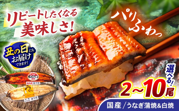
                  ＜選べる容量＞諫早淡水 うなぎ蒲焼＆白焼きセット 1～6尾 / うなぎ ウナギ 鰻 蒲焼き 蒲焼 かばやき 白焼き 白焼 国産 冷凍 小分け うな重 うな丼 ひつまぶし / 諫早市 / 諫早淡水株式会社 [AHAT002] 丑の日 土用丑の日  
                