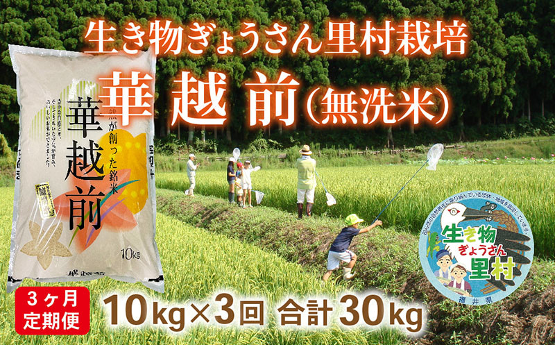 
                  〈先行予約・令和６年度産〉【定期便3回】生き物ぎょうさん里村栽培　華越前（無洗米）10kg　ビニール袋入り
                