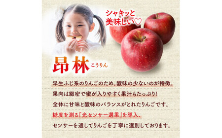 【2025年10月中旬発送分先行予約】りんご 昂林 5kg 北海道産　【先行販売】 香り高くみずみずしい 北海道産 昂林 りんご 5kg 10月中旬発送分 北海道 余市町 果汁 果肉 かため 適度な酸
