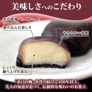 【TVで紹介されました】水戸の梅 5個入 1箱（MP-29)