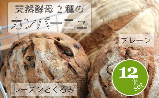 黒姫高原『パン小舎（pangoya）のカンパーニュ＆レーズンとくるみのパン  12点詰め合わせ』自家製天然酵母パン｜長野県産ゆめかおり使用【長野県信濃町ふるさと納税】　