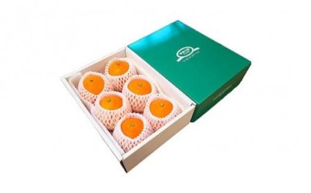 【12月中旬から発送】 希望の島 愛果28号 特選品 大玉 約1.5kg（6玉）＜2月上旬までに発送＞ （愛媛県産 みかん 蜜柑 オレンジ みかん 柑橘 果物 フルーツ みかん 家庭用 お取り寄せ み