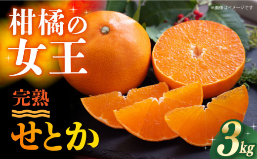 せとか 約3kg ー2027年3月より発送ー 長与町/果豊園 [ECL003] みかん ミカン 柑橘 かんきつ フルーツ 果物 完熟 季節限定  先行予約 長崎県産 長与町