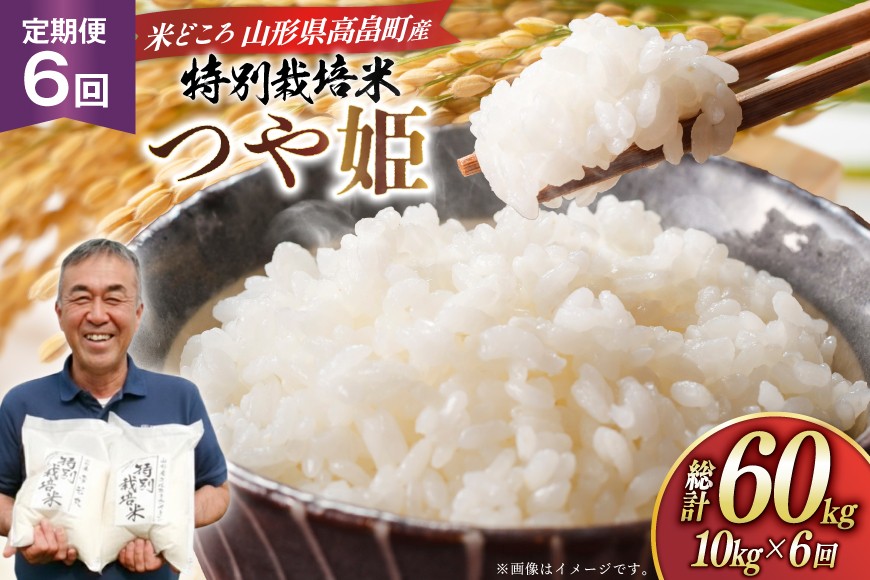 米 定期便 6回 令和8年 つや姫 10kg 6回 計60kg [渡部ファーム 山形県 高畠町 tk06ays810040] お米 白米 精米 ごはん ご飯 ブランド米