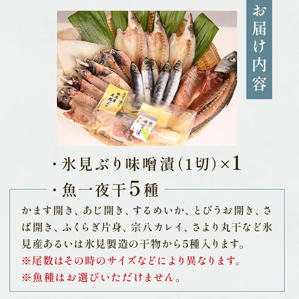 氷見 堀与おすすめ一夜干5種と氷見鰤味噌漬け 富山県 氷見市 干物 詰め合わせ 食べ比べ セット ブリ ぶり 切り身　