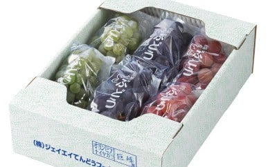 08-01-015　ぶどう3種味比べセット6房