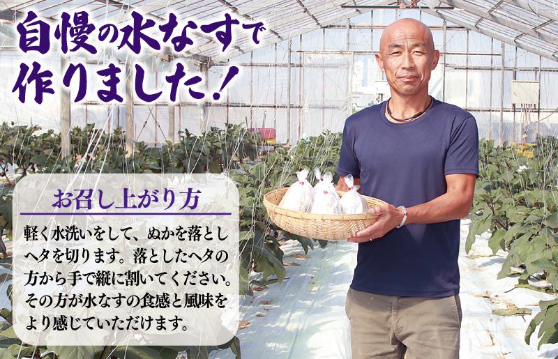 【先行予約】泉州 水なす漬け 6個【ハウス栽培 漬物 新鮮 野菜 泉佐野産 茄子 数量限定】 G1490