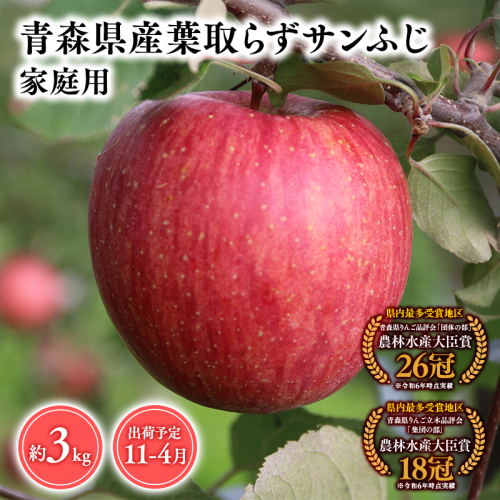 2026年産１１月～4月発送　【訳あり】家庭用葉とらずサンふじ3ｋｇ　【そと川りんご園・１１月・１２月・１月・２月・３月・４月・青森県産・平川市・りんご・葉とらずサンふじ・3ｋｇ・訳あり・家庭用】
