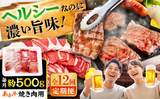 【全12回定期便】熊本あか牛 焼肉用カット(バラ ロース) 約500g /  バラ ばら バラ肉 ばら肉 牛肉 和牛 あか牛 あかうし 焼き肉 やきにく 焼肉 焼肉 国産 旨味 美味しい 肉 お肉 熊本県 菊陽町【五右衛門フーズ】 [BHCY048]