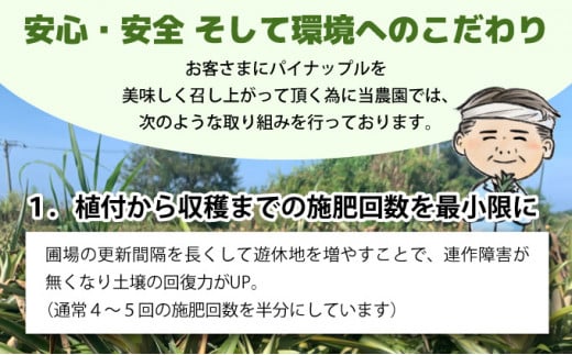 【2026年発送】リピータ続出！西表パイン園の蜜入り ピーチパイン 2kgセット