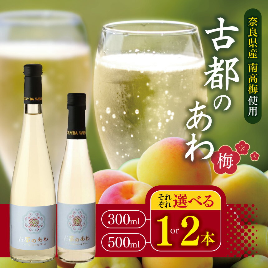 【ふるさと納税】古都のあわ～梅～ スパークリングワイン | お酒 酒 おさけ スパークリング 梅 南高梅 梅シロップ ワイン 奈良県 五條市 お祝い ギフト 人気 おすすめ お試し