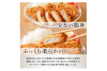 豚肉 宮崎県産豚肉「川南ポーク」ヒレブロック1.8kg