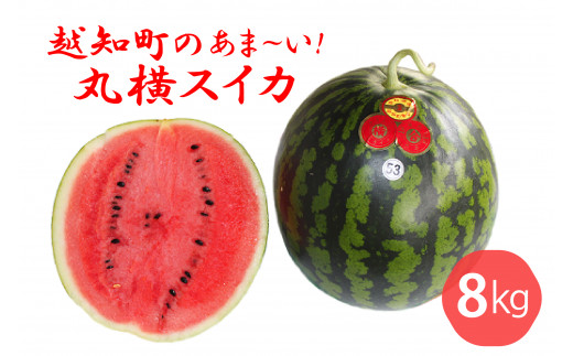 越知町のあま～いスイカ【約8kg　1玉】