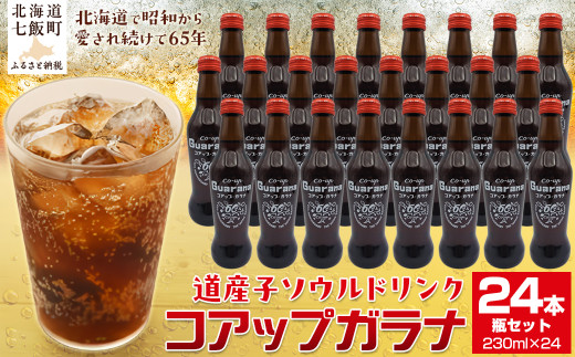 コアップガラナ24本セット（230ml瓶） 【 ふるさと納税 人気 おすすめ ランキング コアップガラナ ガラナ 道産子ソウルドリンク 北海道代表 ご当地 北海道 七飯町 送料無料 】 NAQ004