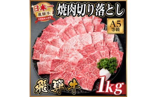飛騨牛A4~A5等級　焼肉切り落とし　1kg　黒毛和牛(焼肉・BBQ用)【1754586】