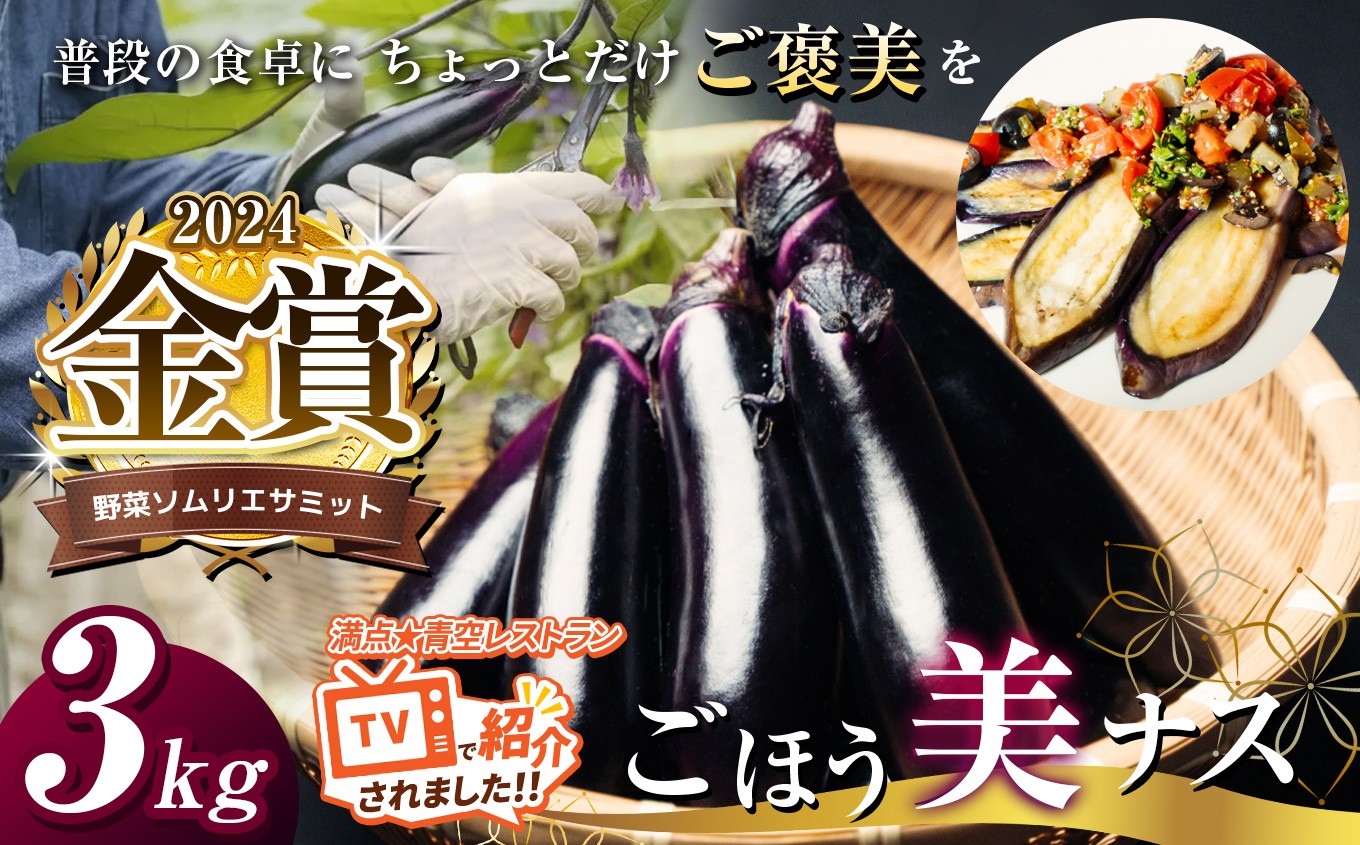 
                  野菜ソムリエサミット金賞「ごほう美ナス」 約3kg | 野菜  やさい 茄子 なす 野菜ソムリエ サミット 金賞 ごぼう美ナス  ご褒美 きんしょう とろとろ 真岡市 栃木県  約 3kg
                