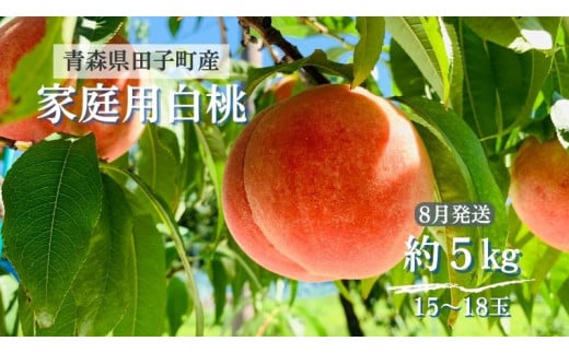田子の家庭用白桃 約5kg（15～18玉） 8月出荷