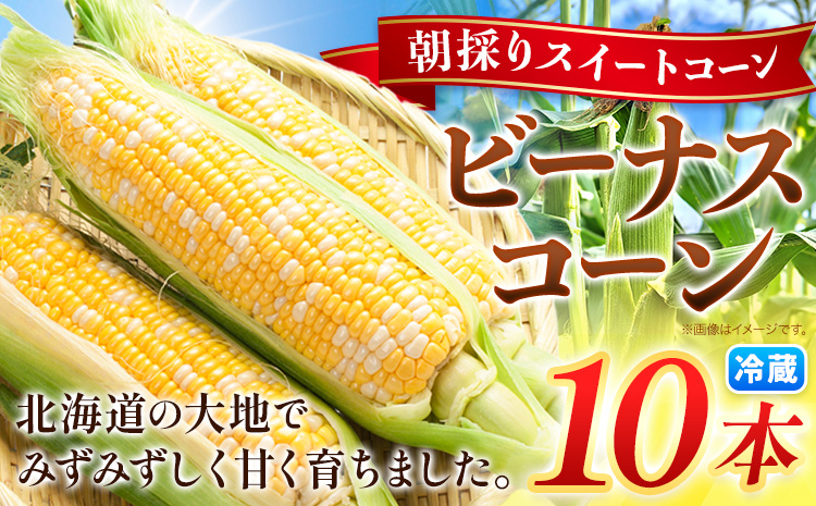 【先行予約】朝採り とうもろこし ビーナスコーン スイートコーン 10本 《2026年8月上旬-8月末頃出荷予定》山下農場 バイカラー 大粒 コーン トウモロコシ 送料無料 北海道 本別町北海道 十勝