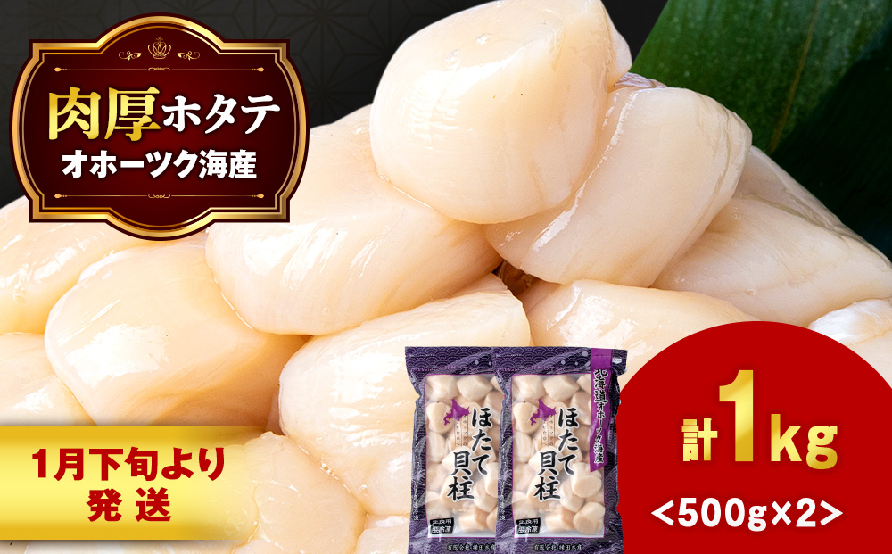 【1月末発送】 ホタテ 貝柱 冷凍 大粒　1kg（500ｇ×2パック） お取り寄せ 刺身 《横田水産》