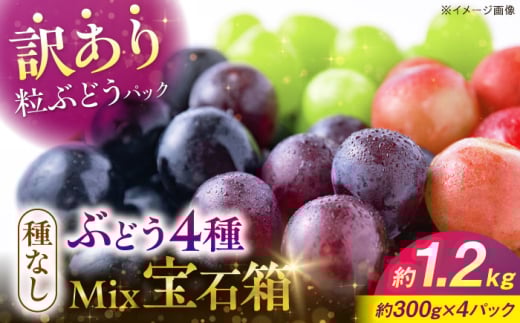 【先行予約】【9月中旬から9月末に順次発送】【訳あり】ピオーネ&シャインマスカット&安芸クイーン&クインニーナ 4種ミックス 計約1.2kg（約300g×4パック） | 露地栽培 ぶどう マスカット ブドウ 果物 甘い デザート ランキング おいしい 三次市/西田ぶどう園 [APCM009]