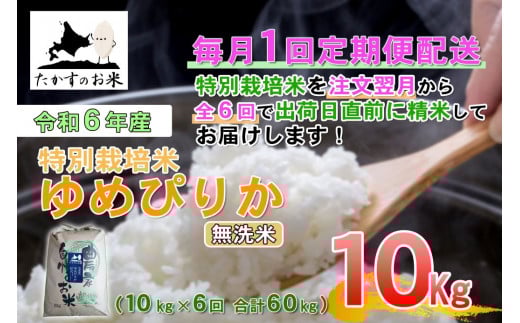 【6回定期便】 【令和7年産】 ゆめぴりか （無洗米） 10kg×6回 北海道 鷹栖町 たかすのお米 米 コメ こめ ご飯 【2025年11月下旬-2026年4月下旬迄発送予定】