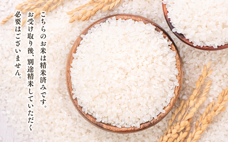 令和5年産　青天の霹靂5kg