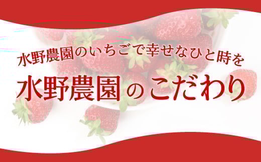 「新鮮で美味しい苺をもっと多くの方に届けたい」そんな思いから朝摘みにこだわり続けています。