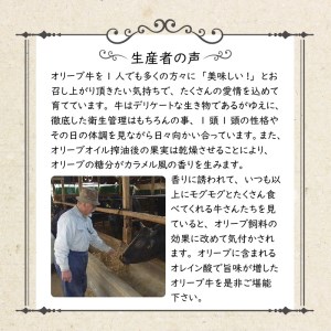 香川県産黒毛和牛 オリーブ牛モモバラすきしゃぶ６００ｇ_M04-0095