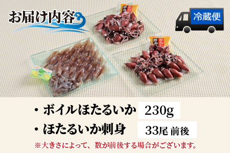 【先行予約】ほたるいか ボイル＆刺身セット【(株)川村水産】※24年3月以降順次発送予定