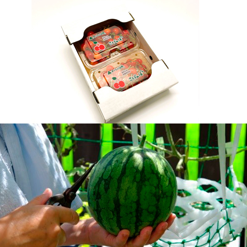 【定期便6回】山形フルーツ デラックス定期便 FY25-825