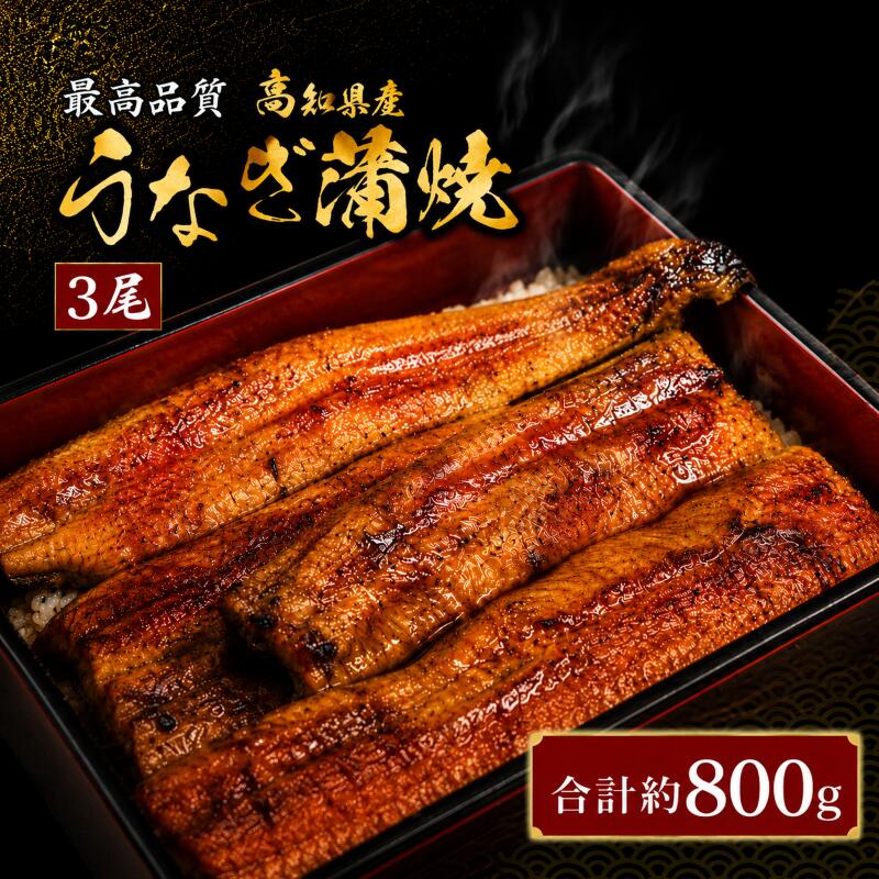 【ふるさと納税】 うなぎ 蒲焼 鰻 約170g×3尾 高知県産 最高品質 合計約510g たれ 山椒 国産 鰻 かば焼 土佐焼 うな丼 うな重 人気 おすすめ 高知県 南国市