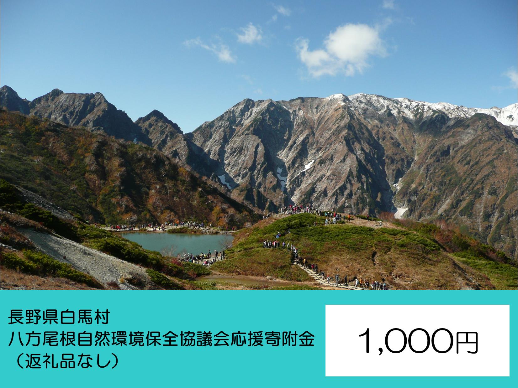 
            【返礼品なし】八方尾根自然環境保全協議会 応援寄附金 1,000円【M0730470】
          