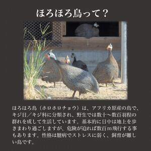奄美 黒ほろほろ鳥  『与論の風ギフトセット』