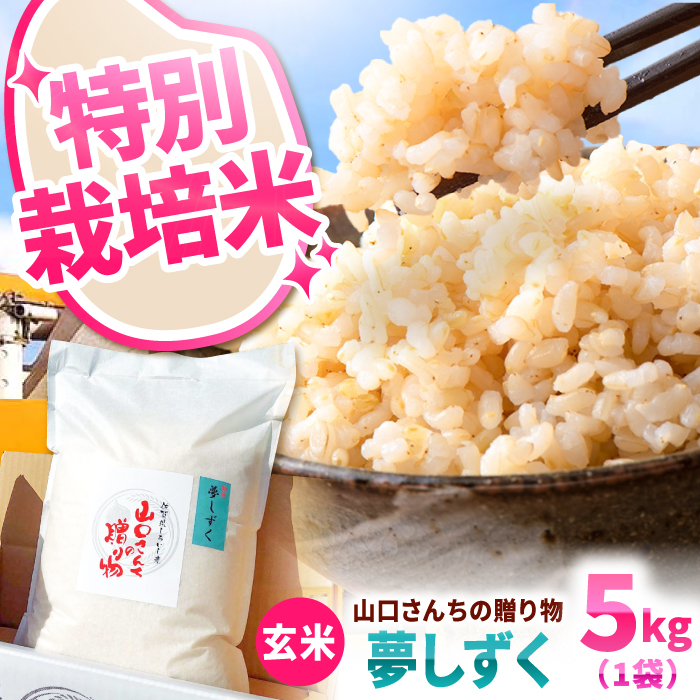 【2026年10月~発送】 令和8年産  特別栽培米 夢しずく（玄米） 5kg【y'scompany】 米 5kg 特A 特A評価  玄米  佐賀県産 国産米 コメ こめ お米 ブランド米 おにぎり ゆめしずく 九州 佐賀県 白石町 人気  令和8年発送[IAS023]