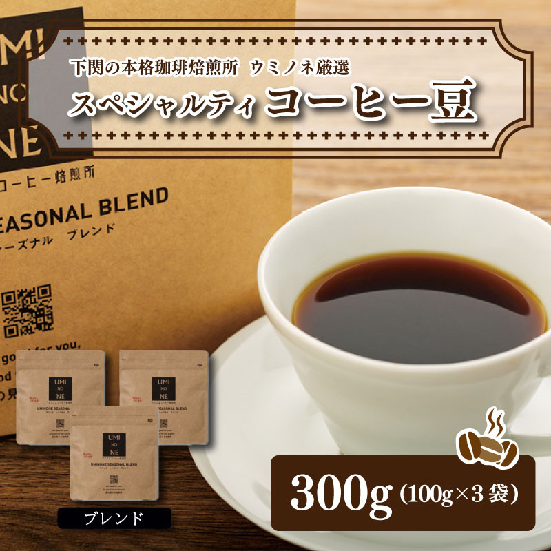 
スペシャルティ コーヒー豆セット ブレンド 300g(100g×3袋) 下関市 山口
