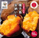 【ふるさと納税】 《先行予約》 種子島 安納いも さつまいも 10kg 焼きいも 焼き芋 本場 安納芋 Qさま キューさま さつま芋 甘い ねっとり スイーツ おやつ グルメ お取り寄せ おせち 人気 種子島産 返礼品 南種子町 鹿児島 かごしま 【観光物産館トンミー市場】