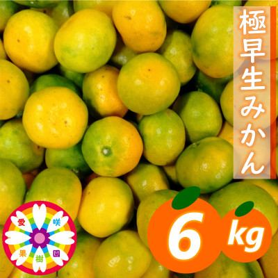 
            「 極早生 みかん 」約6kg《 愛咲果樹園 》＜C71-2＞_ みかん ミカン 柑橘 くだもの 果物 フルーツ 極早生 早生 温州 甘い 常温 デザート 産地直送 産直 愛媛 【1326990】
          