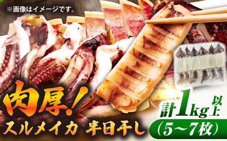 スルメイカ　半日干し 1kg以上 5～7枚《壱岐市》【馬渡水産】[JAQ029]