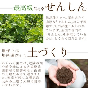 a626 国産！わくわく園純粋桑青汁いきいきセット(さつま桑青汁スティック合計157本)有機栽培の桑100%の粉末青汁をお届け【わくわく園】