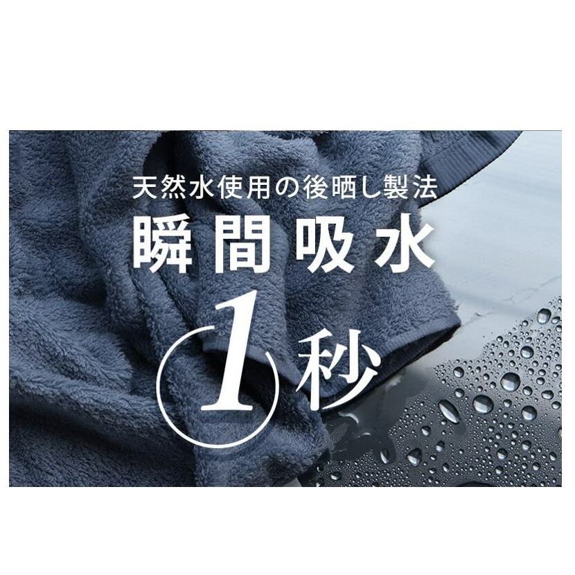 【スピード発送】 ヒオリエ ホテルタオル バスタオル 2枚 ライトグレー【タオル 泉州タオル 吸水 普段使い 無地 シンプル 日用品 ふわふわ ふかふか 家族 泉州タオル】 099H1905_イメージ