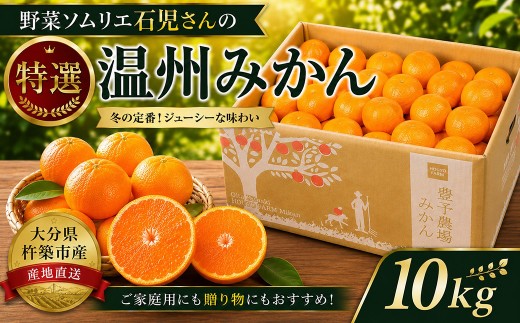 野菜ソムリエ石児さんの「特選 温州みかん 10kg」 ／ ミカン みかん 蜜柑 柑橘 10kg 10キロ 柑橘類 甘い 温州みかん フルーツ 先行予約 11月 12月 1月 11月発送 12月発送 1月発送 ＜103-007＞